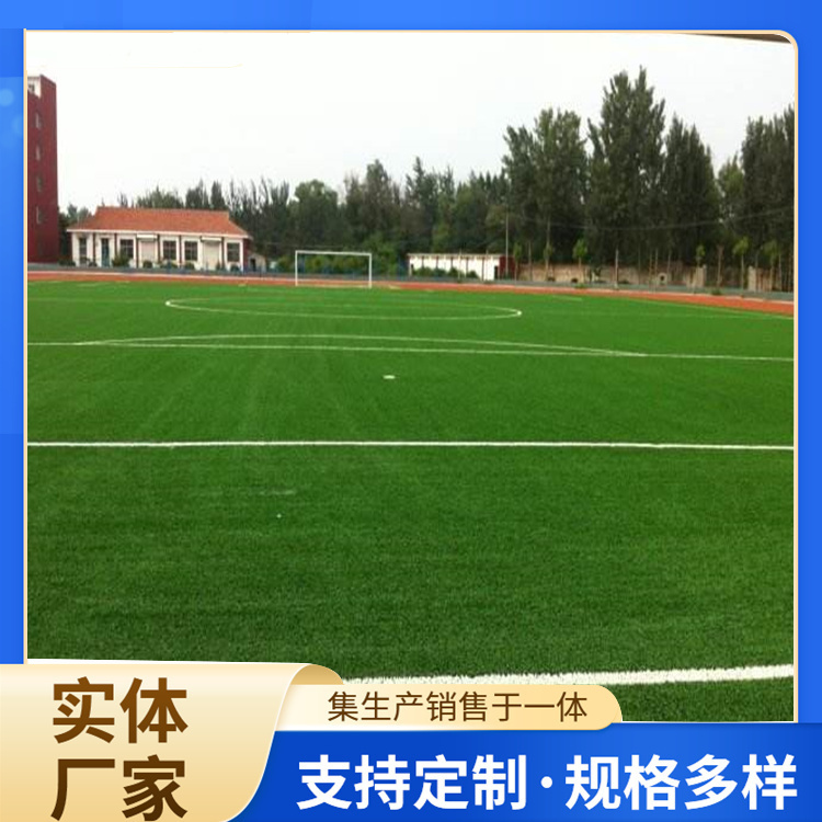 六安市塑胶篮球场人造草坪 - 厂家